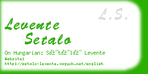 levente setalo business card